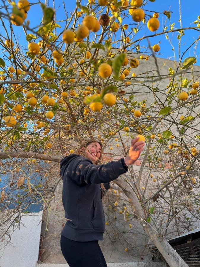 Wostel Djerba Lägenhet Erriadh Exteriör bild